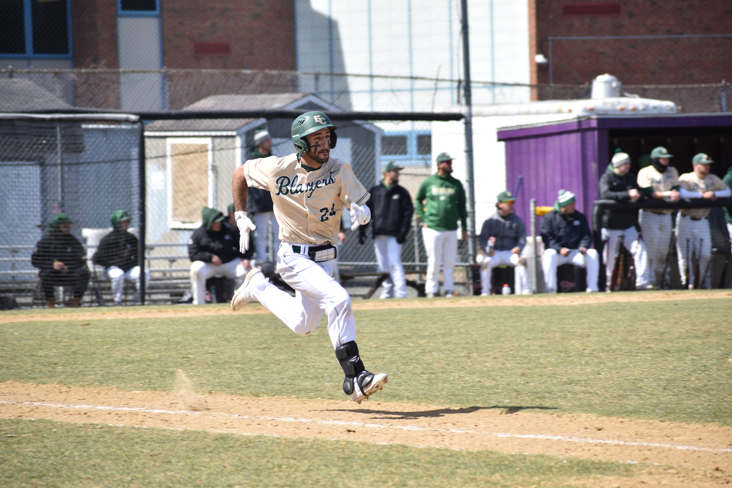 Baseball Bested by Owls