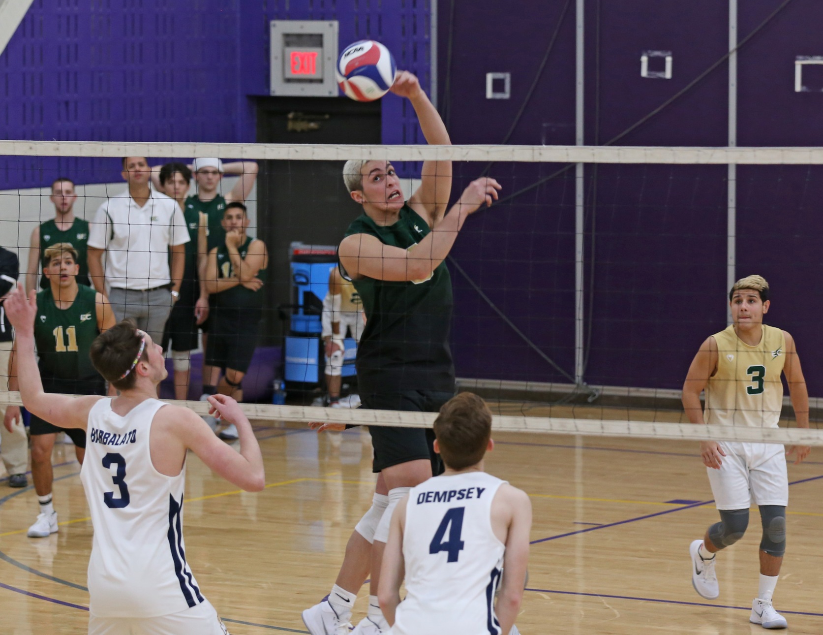 Men’s Volleyball Splits Tri-Match With MIT And Illinois Tech