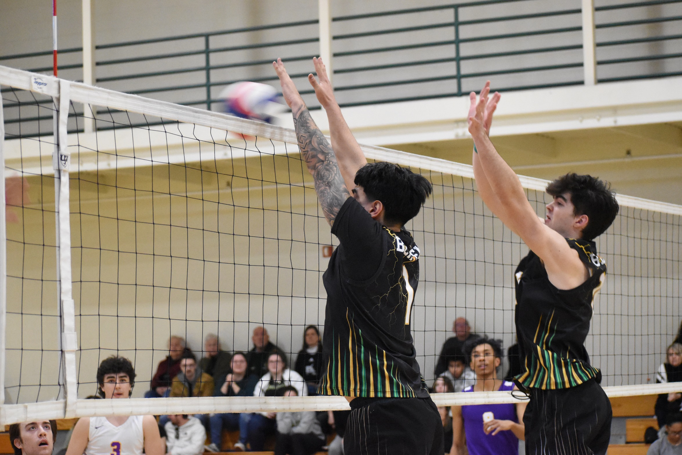 Men's Volleyball Drops Home Conference Match Against Lions