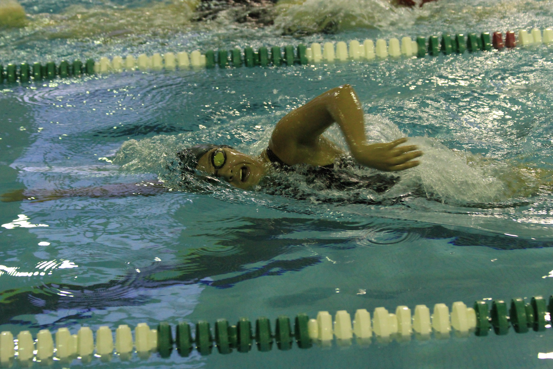 Women's Swimming Falls To Colby-Sawyer In Home Opener