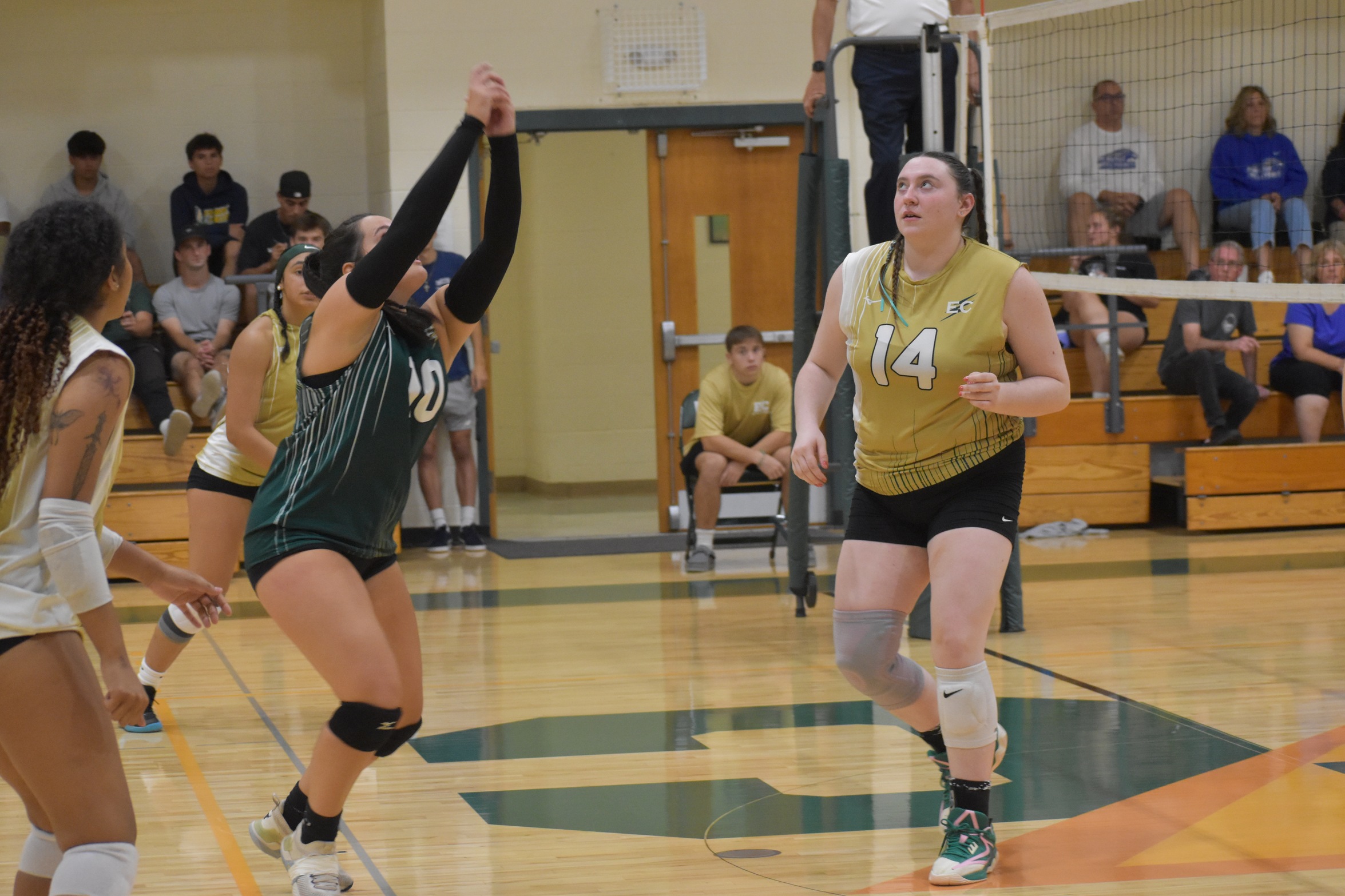 Women's Volleyball Topped in Non-Conference Play by Camels