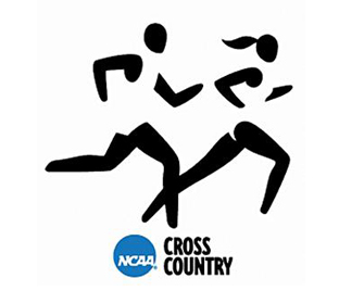 Men’s Cross Country Tabbed to Finish Fourth in 2013 NECC Preseason Poll
