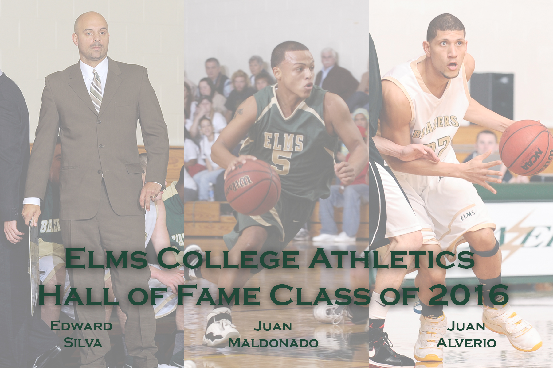 Elms College Announces 2016 Hall of Fame Class