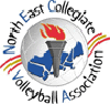 Men's Volleyball Eliminated In NECVA Tournament First Round