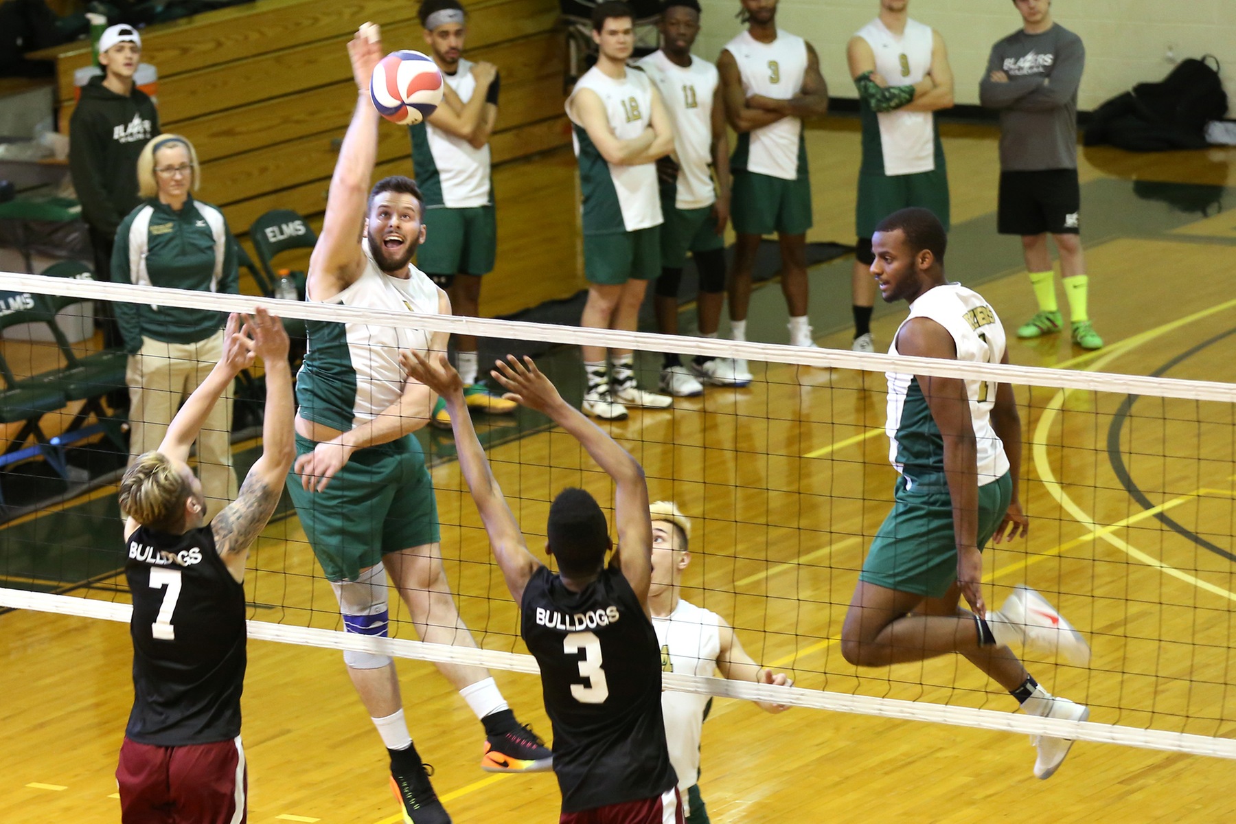 Men's Volleyball Punches Ticket To NECC Title Match