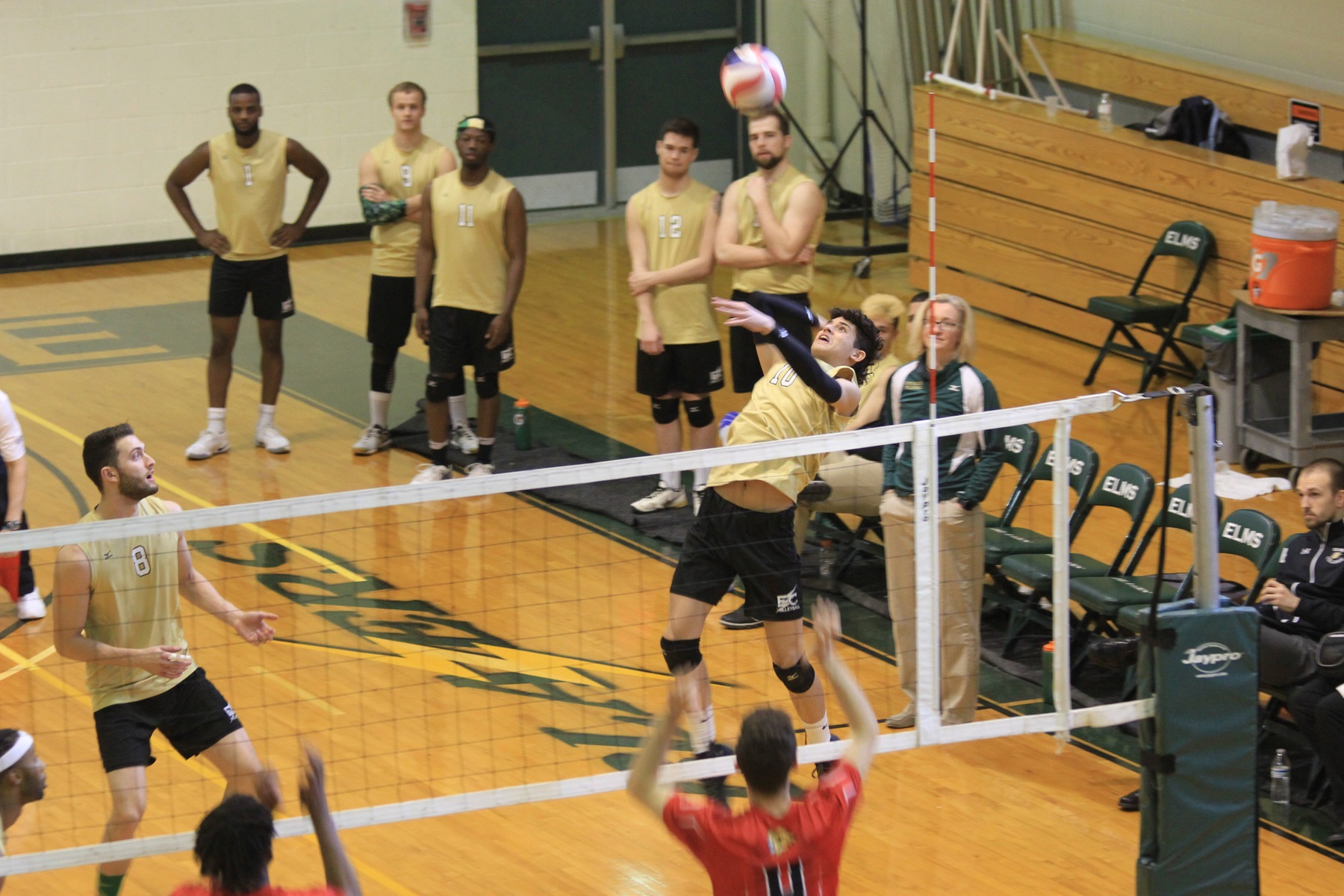 Endicott Edges Men's Volleyball In Four Sets