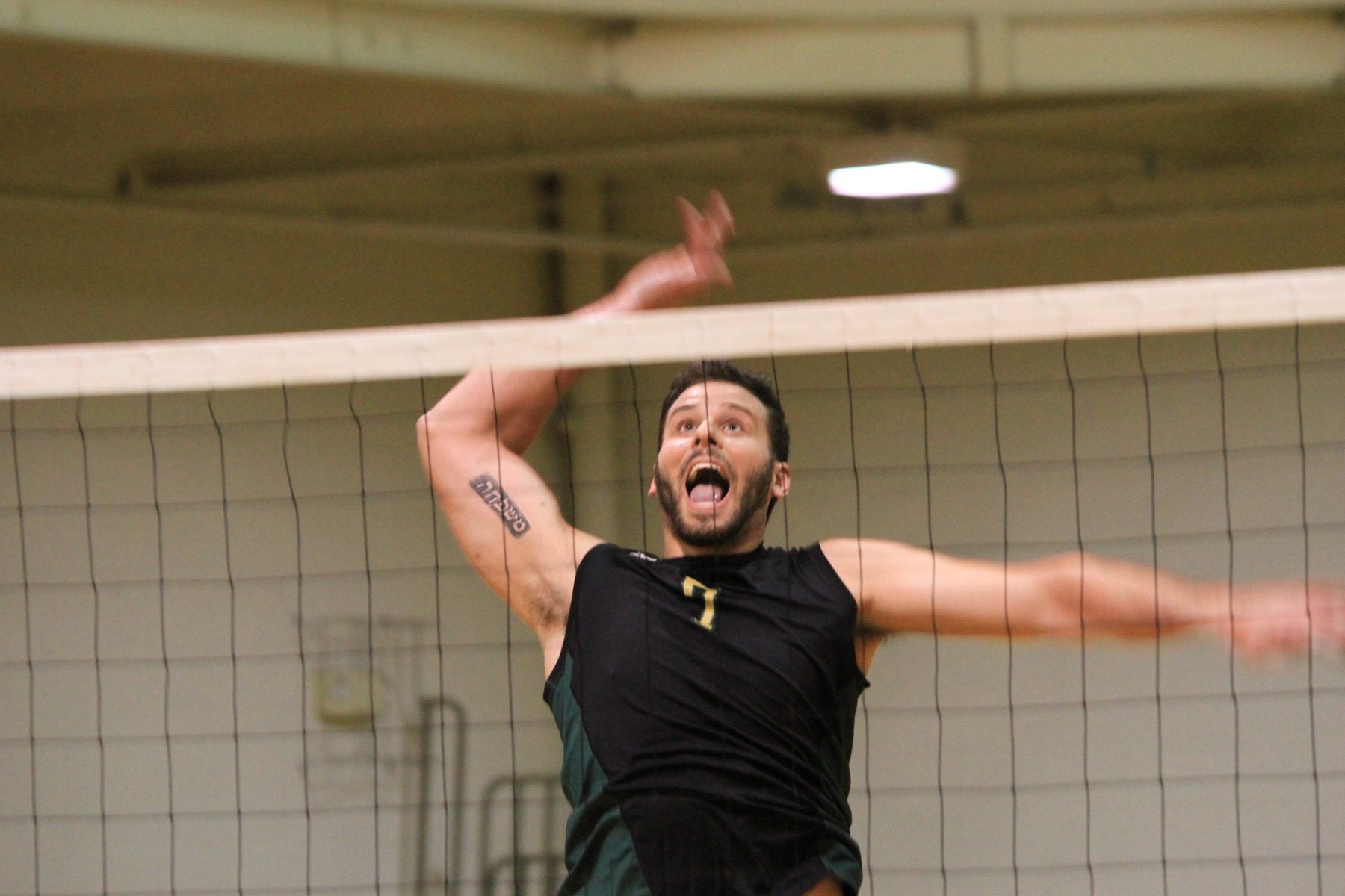 Men's Volleyball Sweeps NECC Weekly Awards