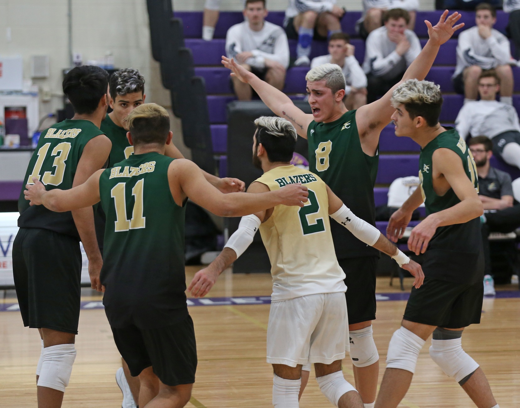 NO. 15 Men’s Volleyball Sweeps Past Nighthawks