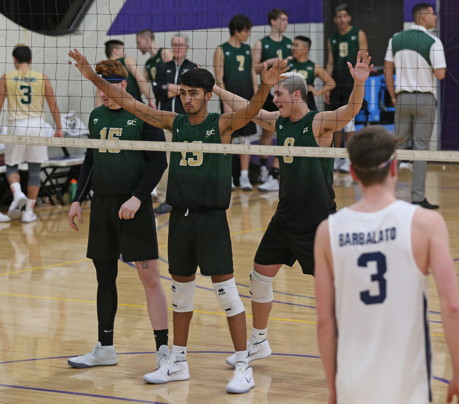 NO. 15 Men’s Volleyball Split Tri-Match With NO.10 Endicott College and Vassar College