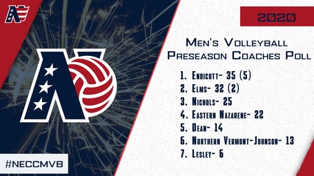 Men’s Volleyball Tabbed Second In NECC Preseason Poll
