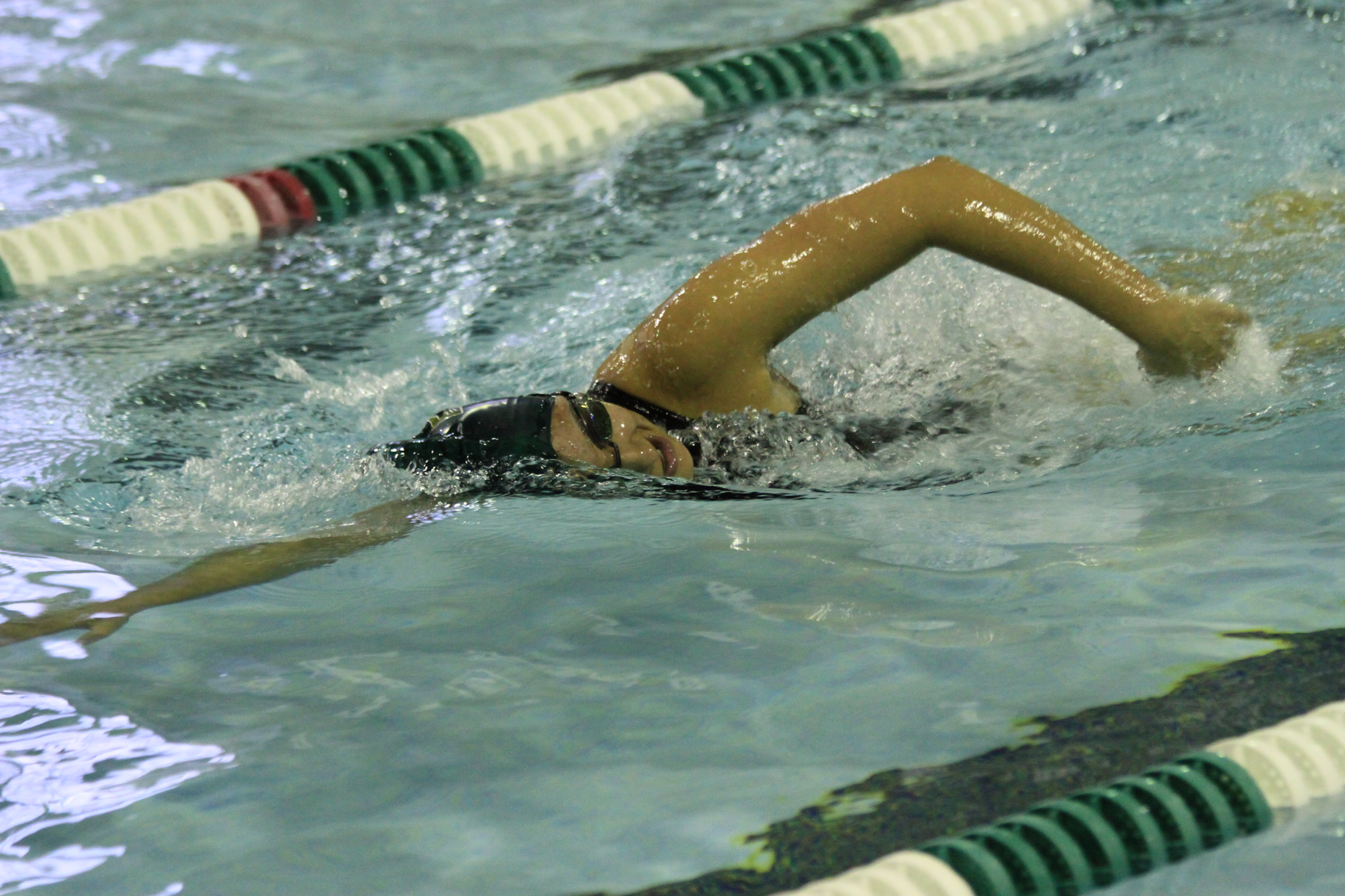 Caver and Carrier pace swimming in loss to Western New England