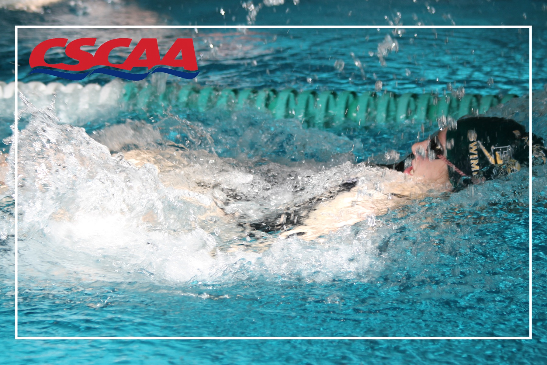 Blazer Swimming Earns Spot On CSCAA Scholar All-America List
