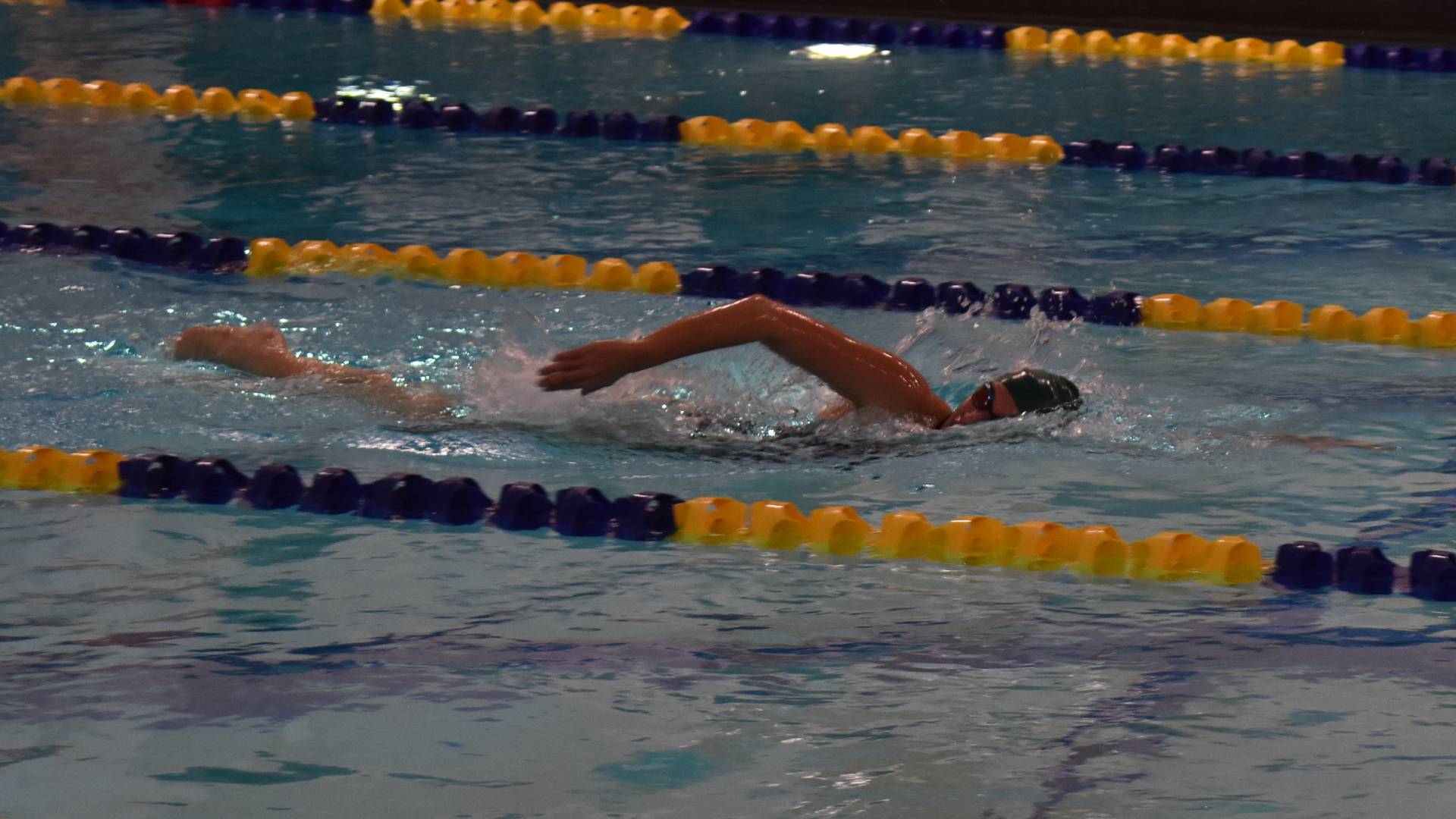 Swimming Faces Off Against Regis College in Conference Meet