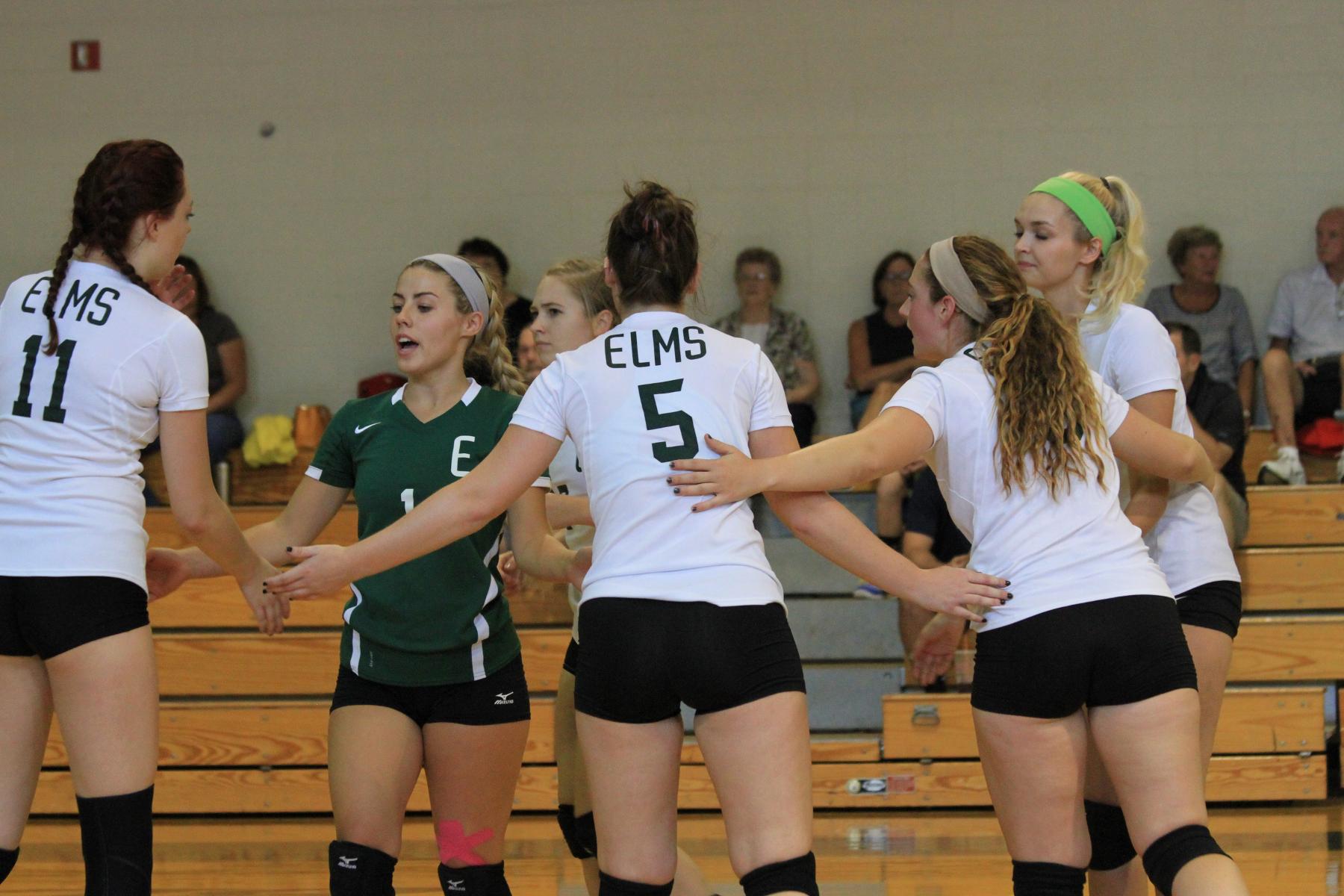 Bay Path Defeats Women's Volleyball