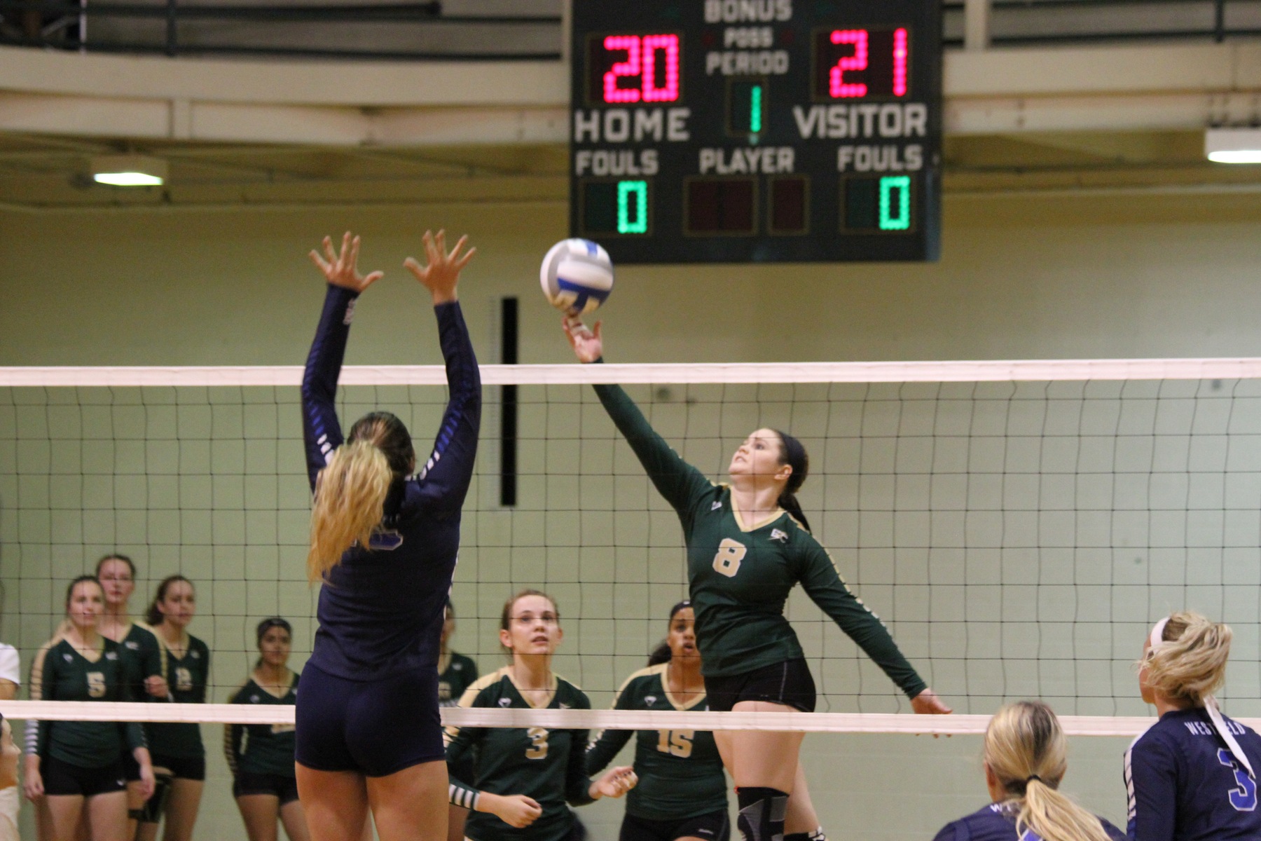 Women's Volleyball Clips Becker In Straight Sets