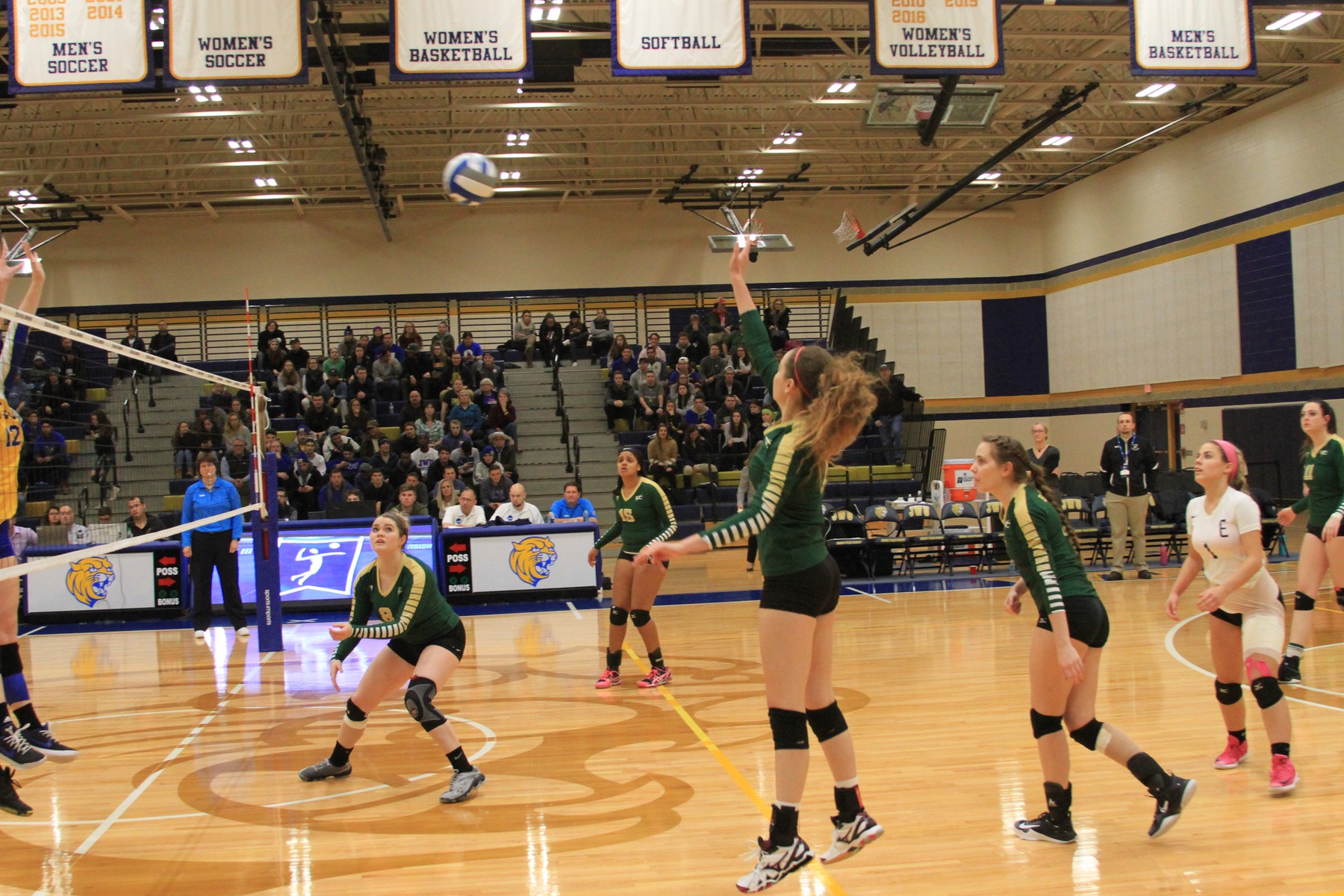 Women's Volleyball Falls To Johnson & Wales In NCAA Opening Round