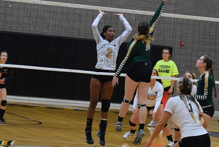 Women's Volleyball Falls At Framingham State