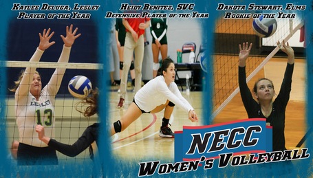 NECC Releases 2017 Women's Volleyball All-Conference Teams