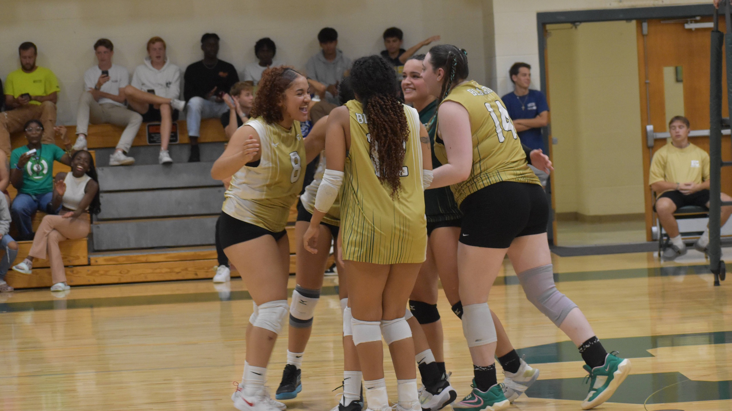 Women’s Volleyball Lose Conference Openers to Regis and New England