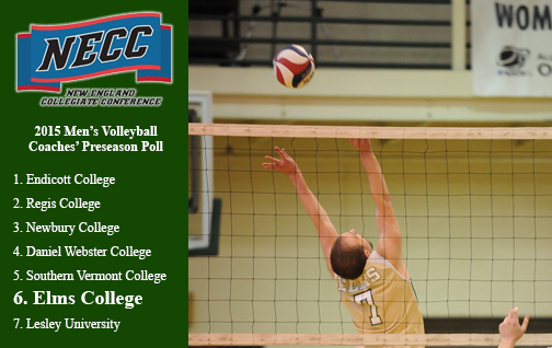 Men's Volleyball Selected Sixth in Preseason Poll