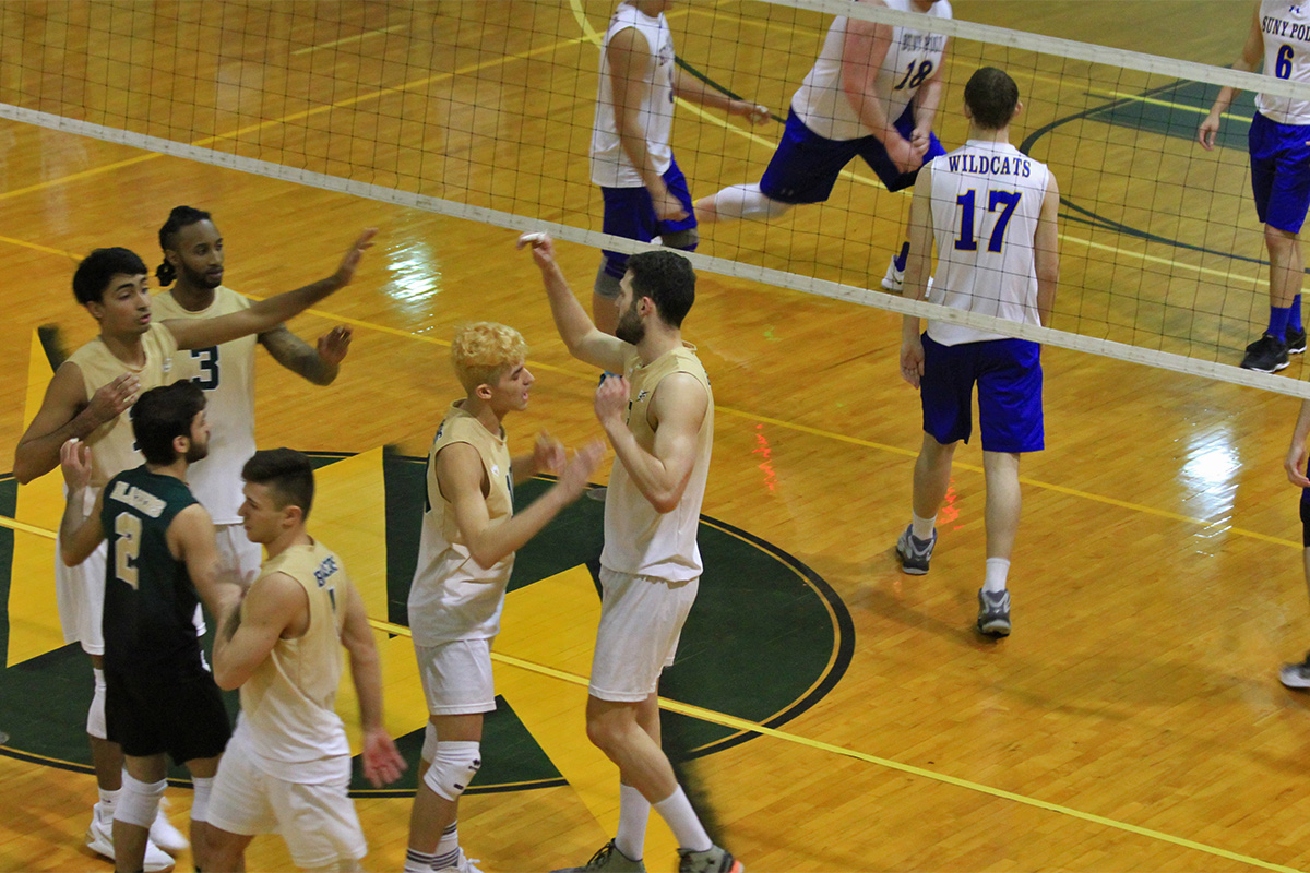 Elms Men's Volleyball Sweeps SUNY Poly