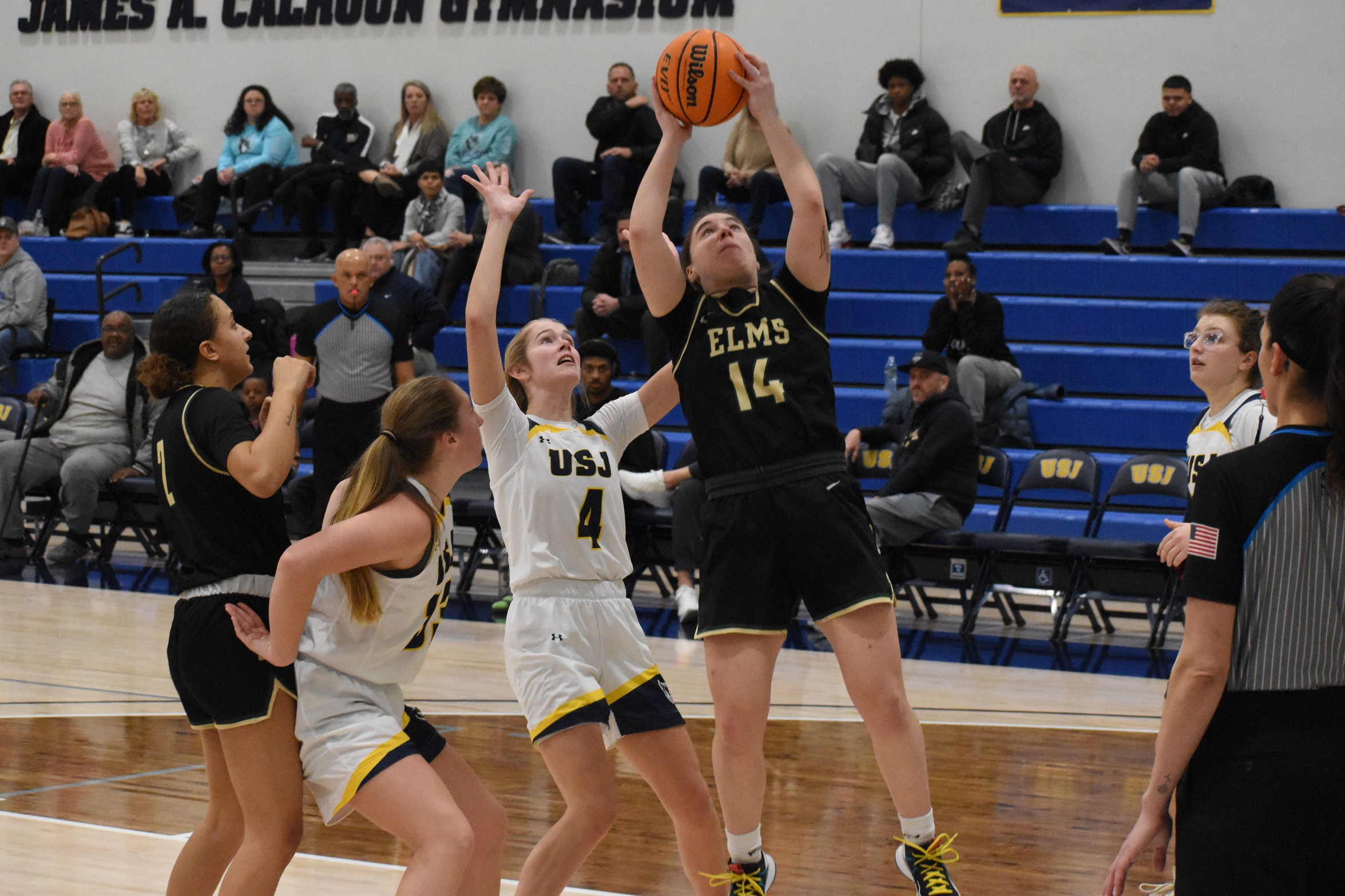 Women's Basketball Topped by Blue Jays in Conference Match Up