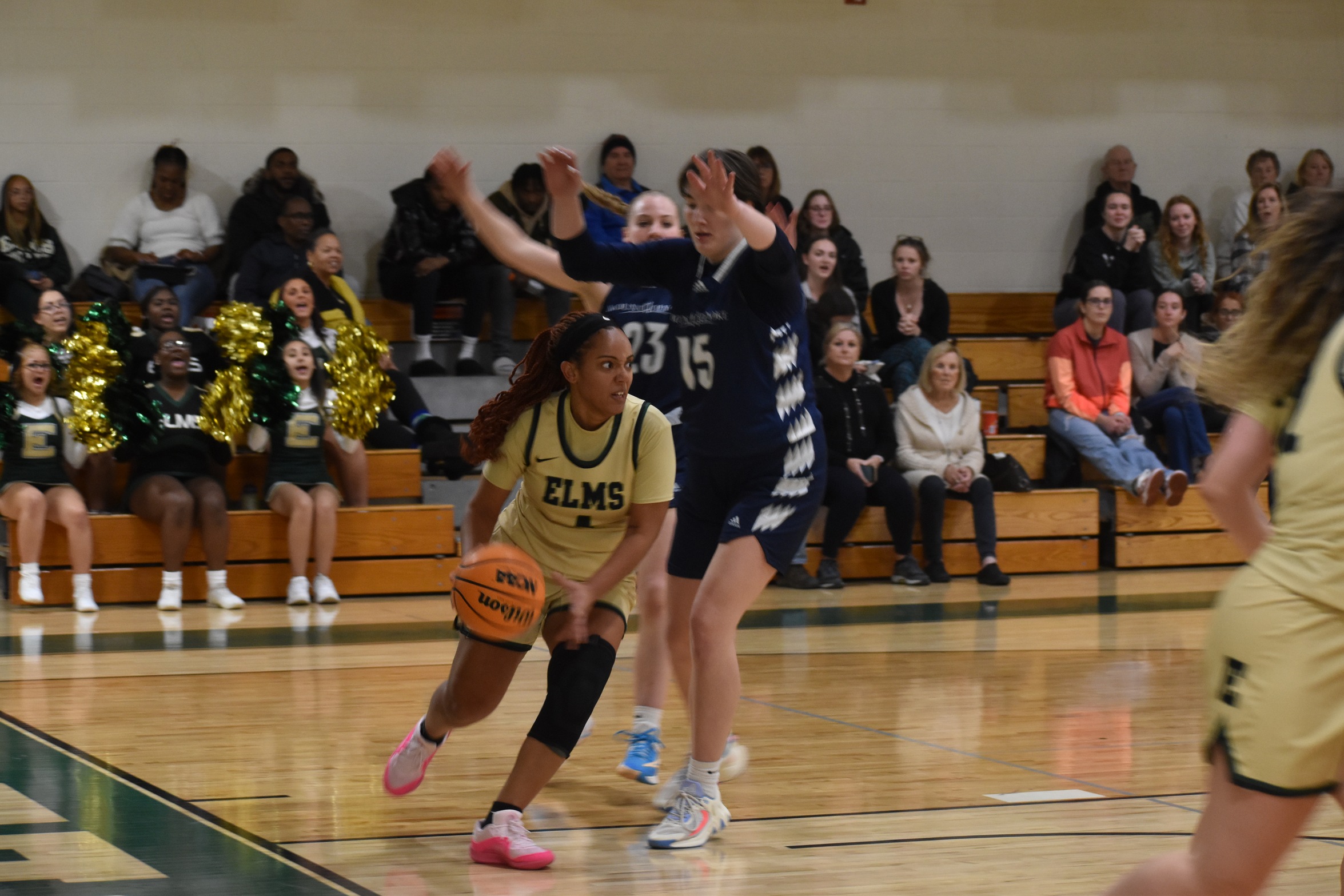 Women's Basketball Tame Lions for Home Win
